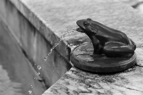 fontaine Lisa Zeitoun